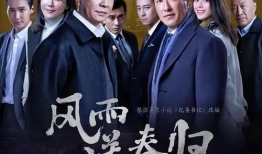 纪委书记电视剧,反腐利剑下的忠诚与较量